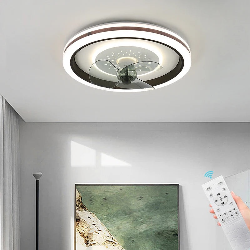 Modern Ventilation Fans Low DC Ceiling Fan indoor Kitchen, Living Room Remote Control Ceiling Fan Light