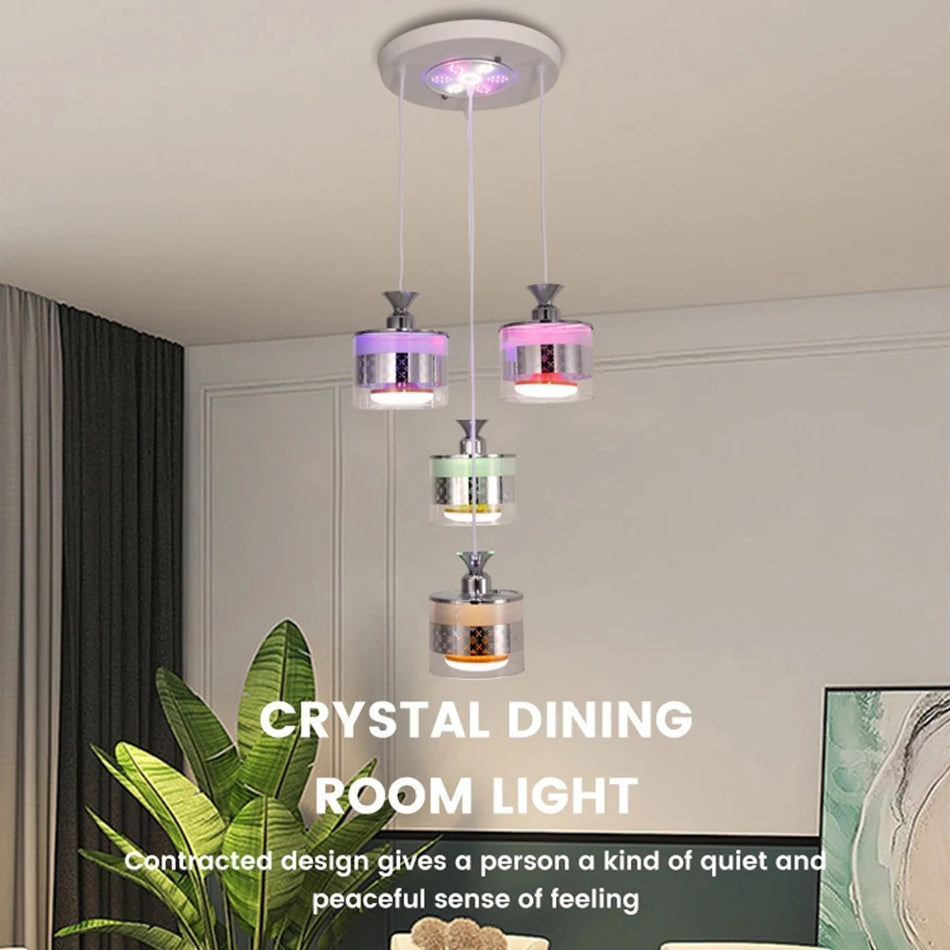 Modern Pendant Light Professional Project Hanging Indoor Lighting